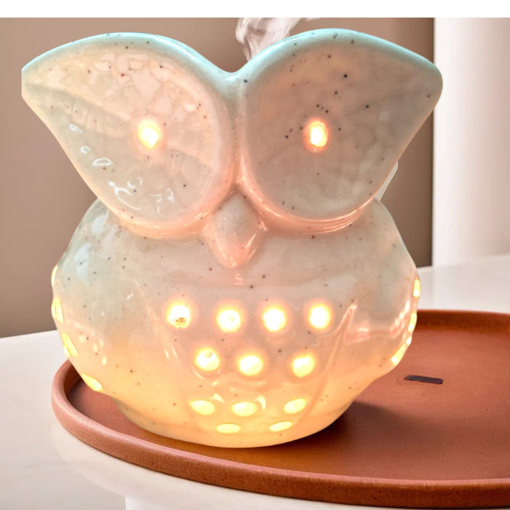 Naturalief Electric Owl shape Diffuser